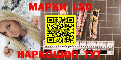 сатива Краснокаменск