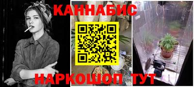 СК Краснознаменск
