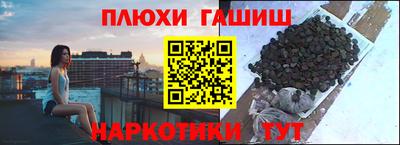 сатива Краснокаменск