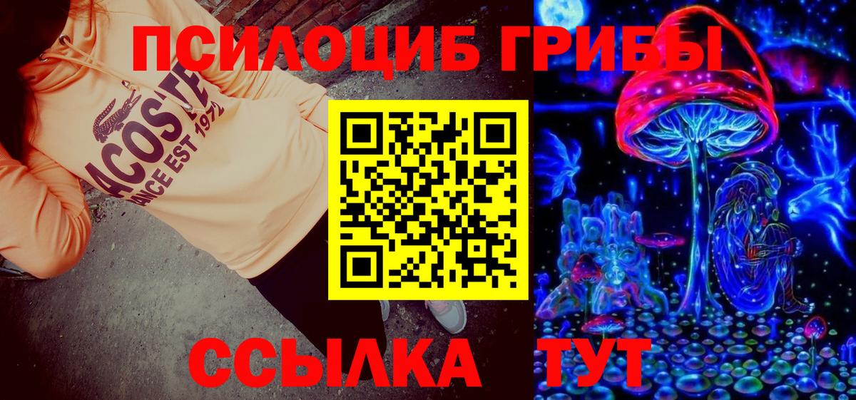Галлюциногенные грибы Cubensis  Галлюциногенные грибы ЛСД  наркошоп  Вход с VPN  Елизово 